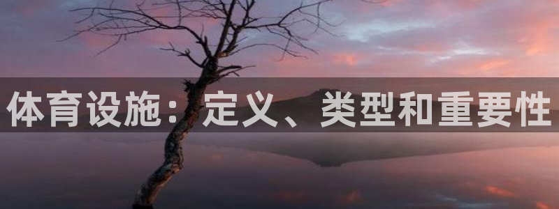 意昂体育3开户：体育设施：定义、类型和重要性