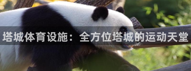 意昂3代理：塔城体育设施：全方位塔城的运动天堂