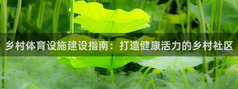 意昂3集团官网首页网址：乡村体育设施建设指南：打造健