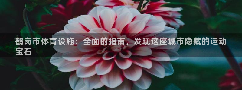 海南意昂体育3：鹤岗市体育设施：全面的指南，发现这座