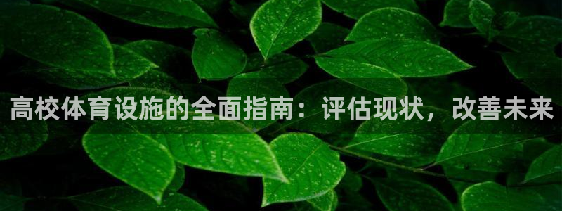 意昂体育3：高校体育设施的全面指南：评估现状，改善未