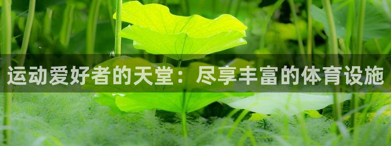 意昂体育3平台注册要钱吗：运动爱好者的天堂：尽享丰富