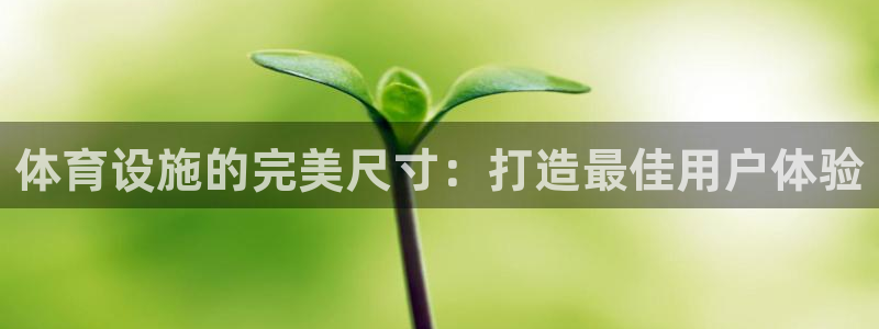 海南意昂体育3发展怎么样：体育设施的完美尺寸：打造最