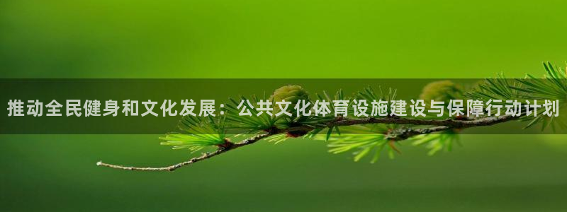 意昂3神州