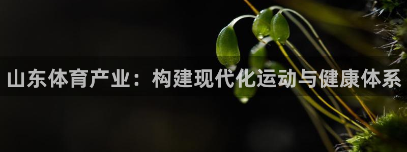 德国意昂3集团