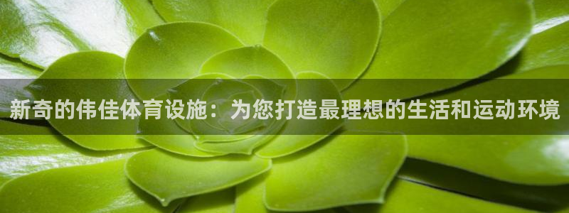意昂3官方