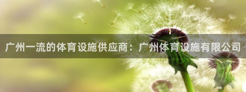 注册意昂3：广州一流的体育设施供应商：广州体育设施有限公司