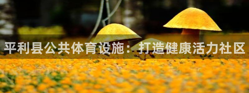 意昂体育3官方客服电话：平利县公共体育设施：打造健康活力社区