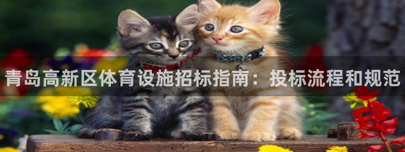 意昂体育3平台是正规平台吗：青岛高新区体育设施招标指南：投标