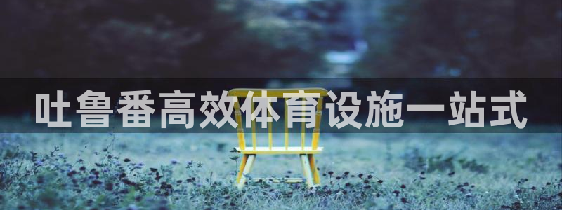 海南意昂体育3：吐鲁番高效体育设施一站式