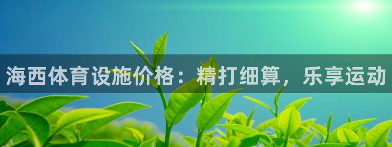 意昂3集团官网首页：海西体育设施价格：精打细算，乐享