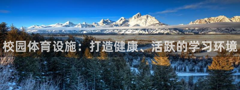 德国意昂3集团：校园体育设施：打造健康、活跃的学习环境