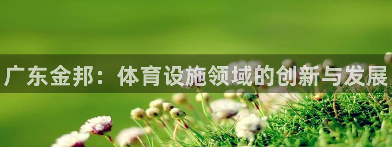 意昂3娱乐40996：广东金邦：体育设施领域的创新与发展