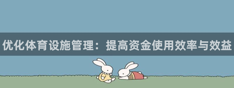 意昂体育3招商电话：优化体育设施管理：提高资金使用效率与效益