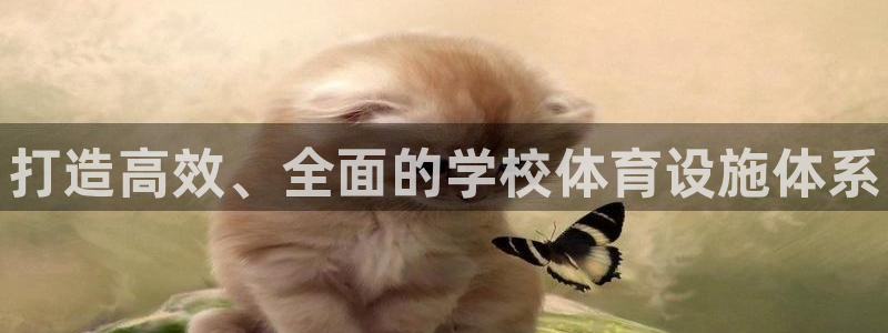 注册意昂3：打造高效、全面的学校体育设施体系