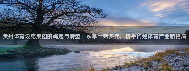 意昂3娱乐首页网站大全：贵州体育设施集团的崛起与转型