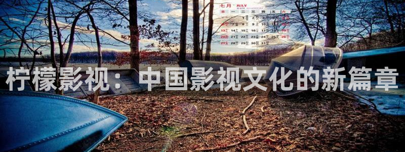 小小影院免费高清电视剧大全：柠檬影视：中国影视文化的新篇章