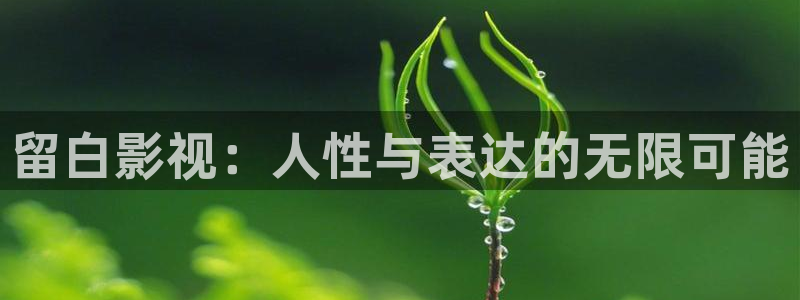 小小影视下载教程：留白影视：人性与表达的无限可能