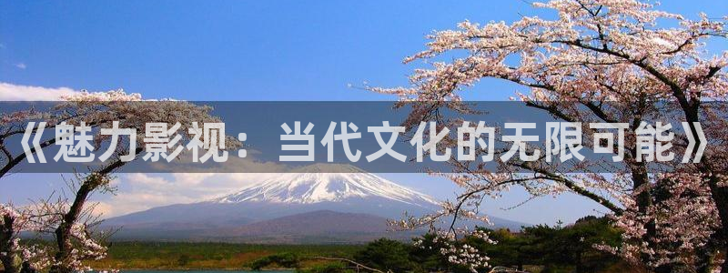 小小影视网页：《魅力影视：当代文化的无限可能》