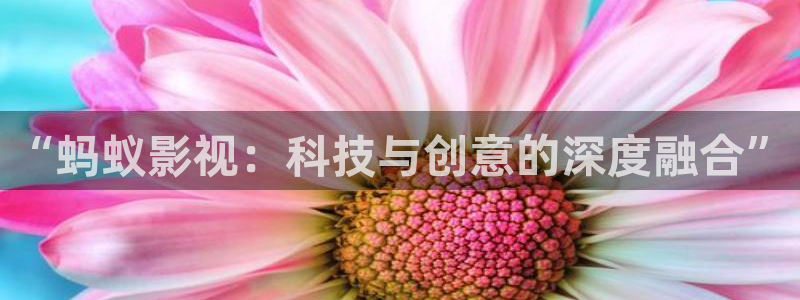 小小影视?：“蚂蚁影视：科技与创意的深度融合”