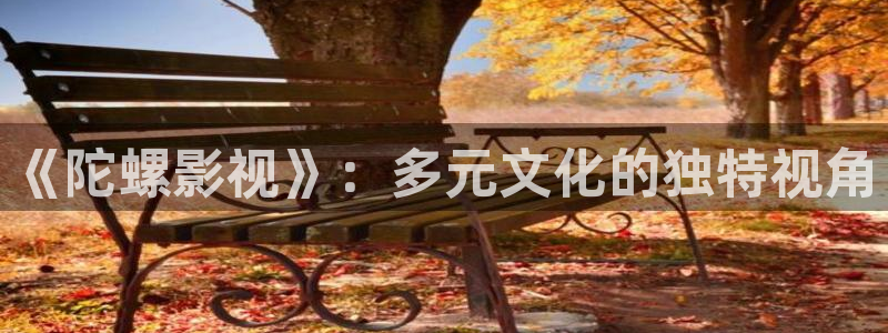 小小影城：《陀螺影视》：多元文化的独特视角