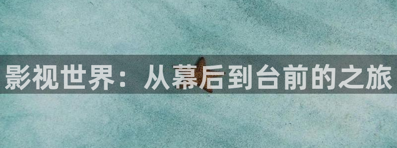 小小影视大全2023免费版：影视世界：从幕后到台前的之旅