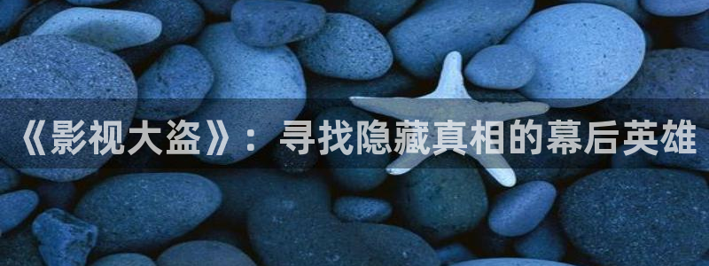 小小影视电视剧在线：《影视大盗》：寻找隐藏真相的幕后英雄