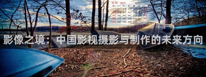 小小影视网站：影像之境：中国影视摄影与制作的未来方向