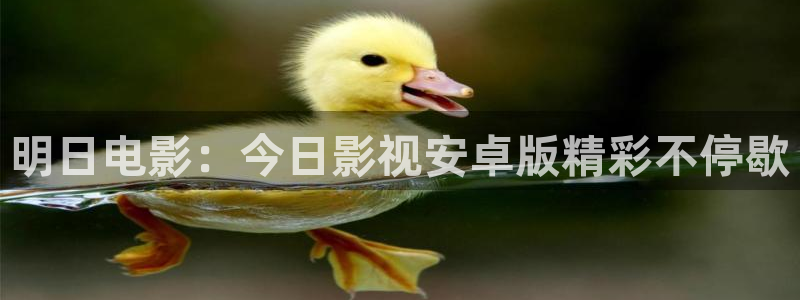 小小影视网在线观看