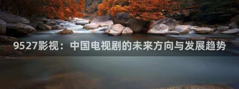 小小影片：9527影视：中国电视剧的未来方向与发展趋势